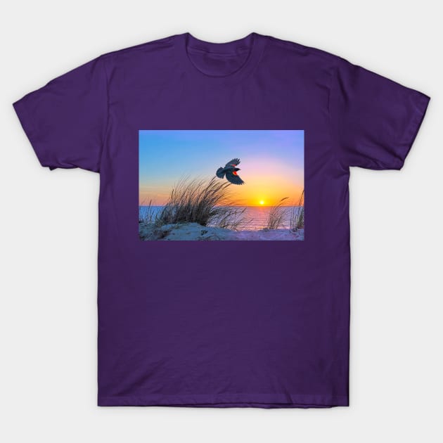 Red Winged Blackbird at Sunset T-Shirt by lauradyoung